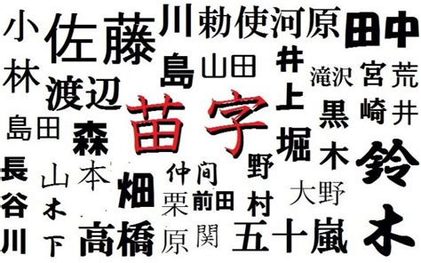 碩 名字|碩姓の由来 起源 ルーツ